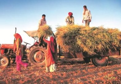 HC order asking insurance firm to compensate farmers for crop loss stayed