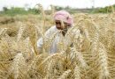 Centre confident more States will re-join crop insurance scheme